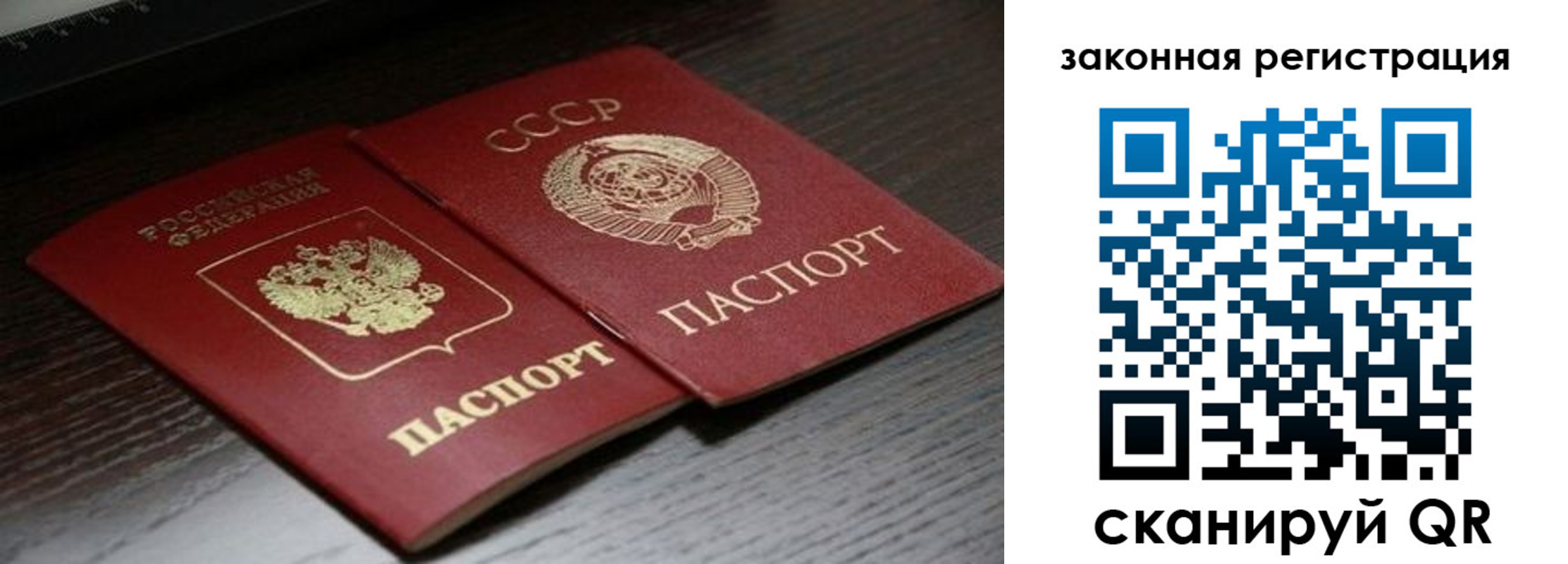 прописка поиск в Рошале